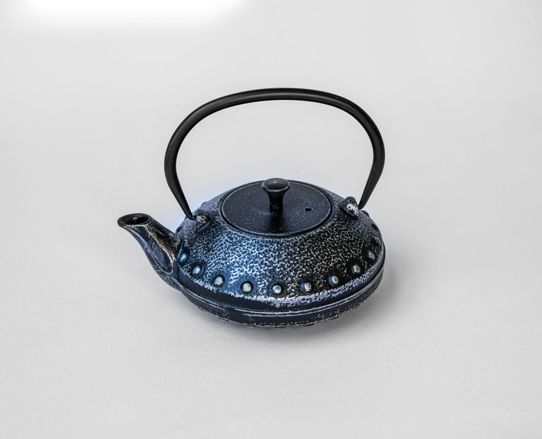 Cast Iron Infuser Tea Pot- Black & Silver (600ml)