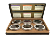 Load image into Gallery viewer, Tea Taster Set
